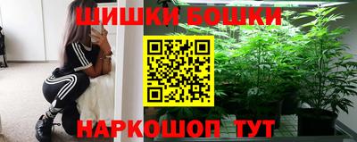 сатива Будённовск