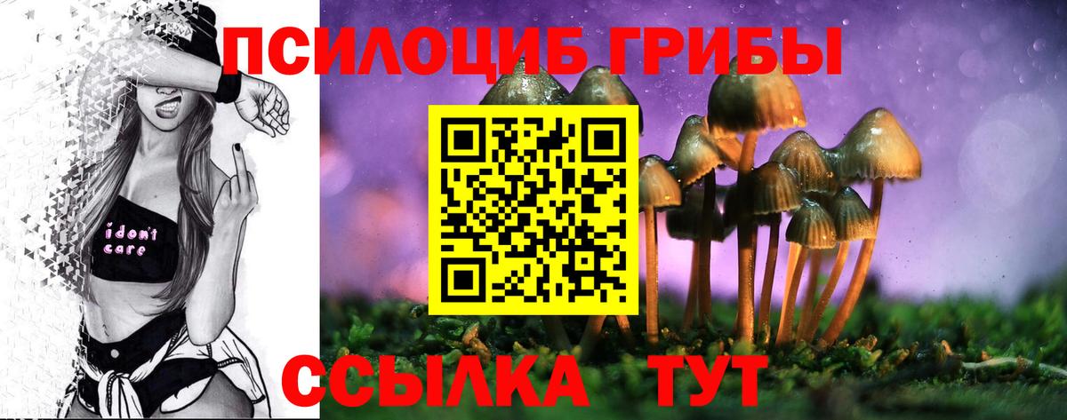 Галлюциногенные грибы MAGIC MUSHROOMS  Вход с VPN  Псилоцибиновые грибы Cubensis  Красноуфимск 